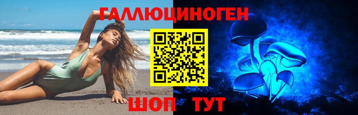 Псилоцибиновые грибы Cubensis Апшеронск
