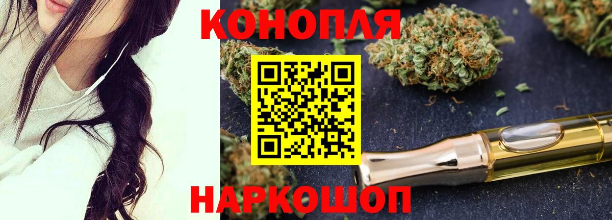 Конопля сатива Апшеронск
